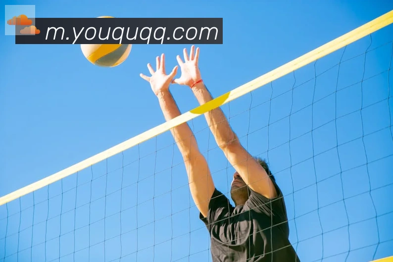 开云kaiyun官网APP 封面图