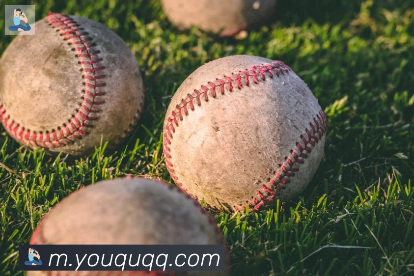 开云kaiyun官网荣誉