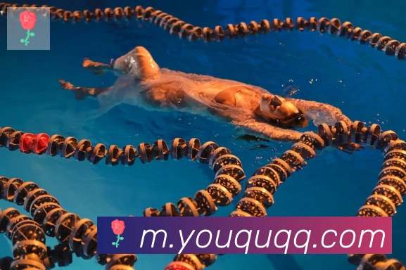 开云kaiyun官网荣誉