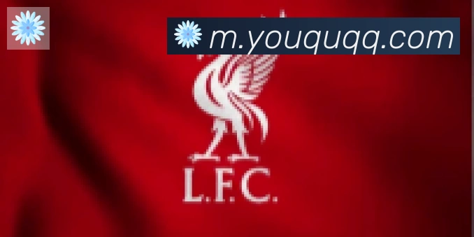 开云kaiyun官网合作伙伴